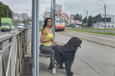 Briard 'lı kadın tramvayı sokakta bekliyor..