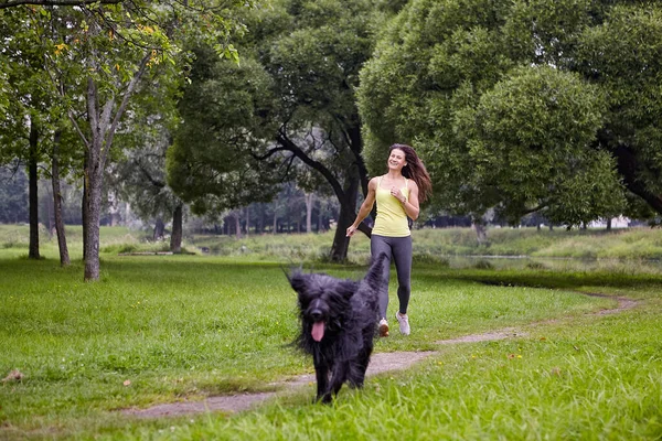 Briard dan wanita berjalan di taman. — Stok Foto