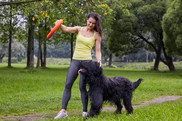 Nő vonatok briard a tisztáson a parkban. — Stock Fotó