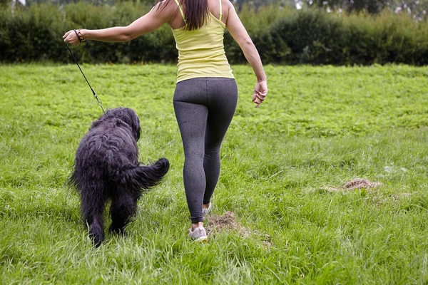 Briard e mulher estão andando na grama no parque. — Fotografia de Stock