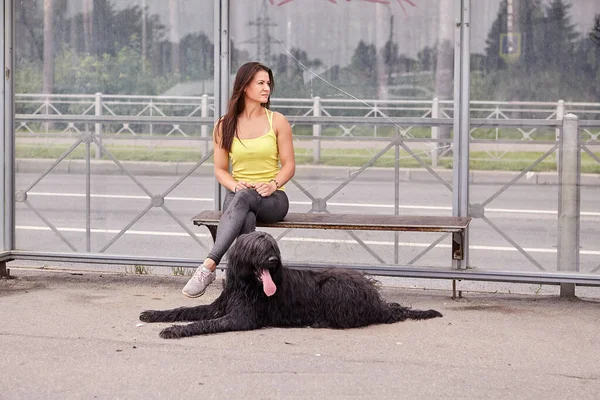 Svart briard och kvinna väntar på bussen. — Stockfoto