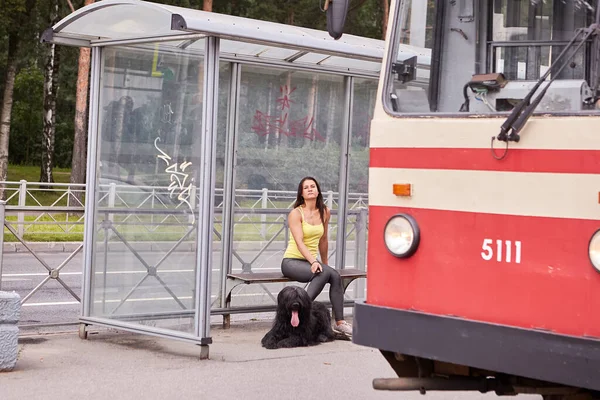 Docile briard and girl wait for tram. — Stock Photo, Image