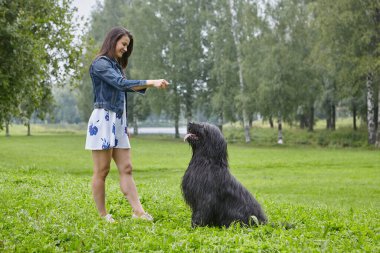 Kadın Briard 'ı yürürken parkta eğitiyor..