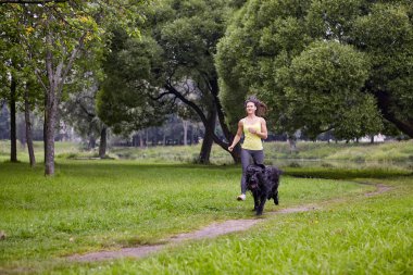 Briard ve kadın parkta açık havada koşuyorlar..