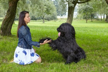 Briard parktaki kadına patisini uzattı..