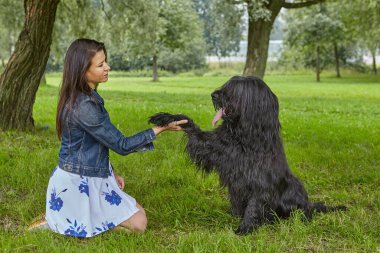 Shaggy Briard, parkta köpek gezdirirken kadına pençe atıyor..