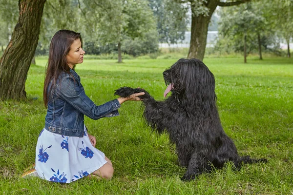 Shaggy Briard ger tass till kvinna under hund promenader i allmän park. — Stockfoto