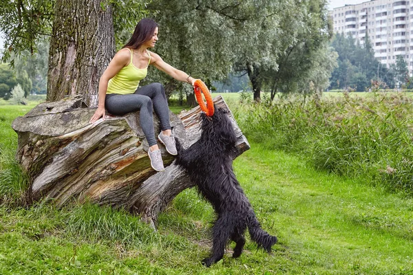 Female owner plays with black briard in public park at morning. — Stock Photo, Image