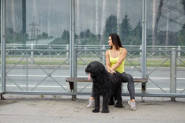 Svart hund och kvinnlig ägare väntar på spårvagn på kollektivtrafik station. — Stockfoto