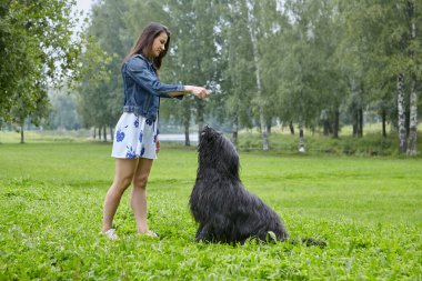 Kadın sahibi parktaki siyah briard 'ı eğitiyor. Genç beyaz kadın yazın şehir bahçesinde uzun saçlı köpek eğitiyor..