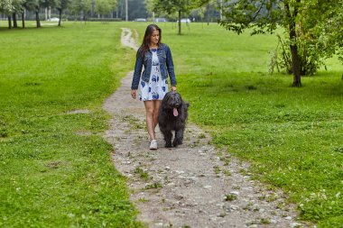 Kadın sahibi şehir bahçesinde uzun saçlı siyah bir Briard ile yürüyor. Genç bir kadın köpekle parkta yürüyor..
