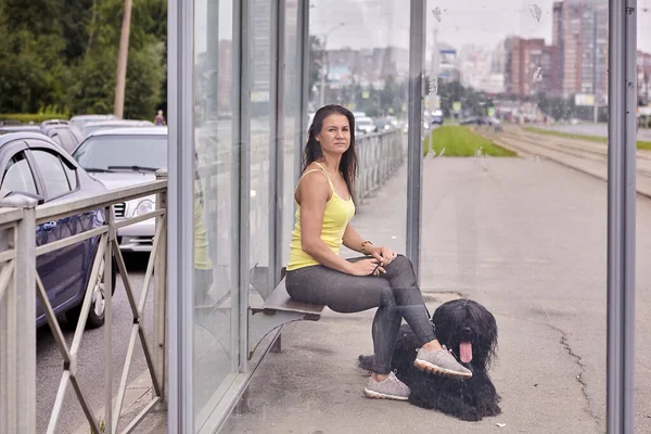 Zwarte Langharige Briard Vrouwelijke Eigenaar Zitten Tramhalte Wachten Een Openbaar — Stockfoto