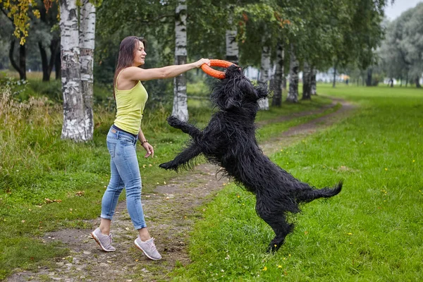 Young Woman Playing Black Briard Help Toy Public Park Female — Stock Photo, Image