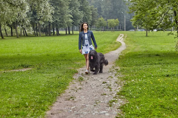 Genç bir kadın yazın halk parkında siyah Briard 'la yürüyor. Beyaz kadın, uzun saçlı köpek açık havada..