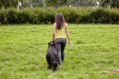 Gündüz vakti parktaki kadın sahibiyle yürüyen Kara Briard 'ın arkası..