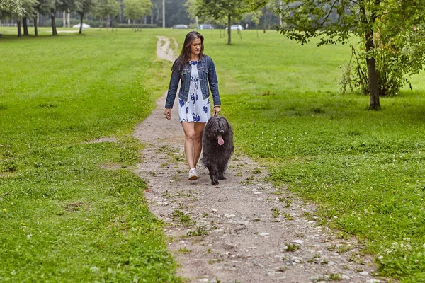 Black Briard Går Med Sin Kvinnliga Ägare Parken Ung Kvinna — Stockfoto