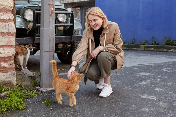 土耳其伊斯坦布尔 2020年2月12日 在旅游途中 年轻女子在一条荒废的街道上抚摸流浪猫 — 图库照片