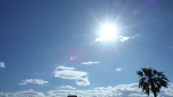 La energía del sol y el viento en el día soleado. — Vídeos de Stock