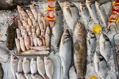Buzlu taze deniz balığının farklı türleri..