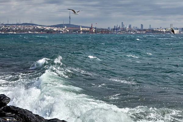 Stormy sea in winter Istanbul, waves foaming off coast in Golden Horn bay. — Stockfoto