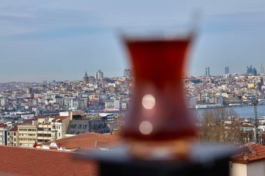 Türk siyah çaylı Armudu, İstanbul kentinin önündeki çatı çitinin sütuna oturmuş, arka plana odaklanıyor.