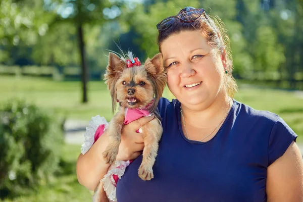 Yorkshire Terrier dog in arms of fat mature woman. Stock Picture