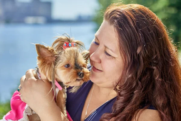 Nagy Build kaukázusi nő tartja Yorkshire Terrier kutya a karjában. — Stock Fotó