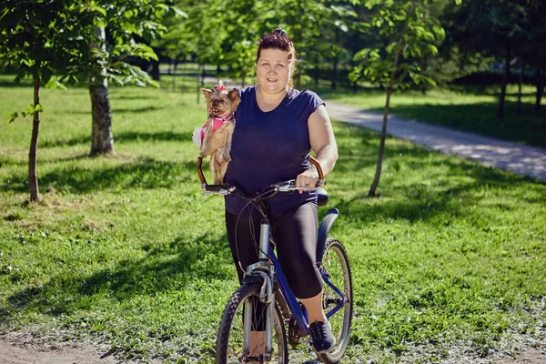 Yorkshire Terrier i händerna på fet kvinna på cykel. — Stockfoto