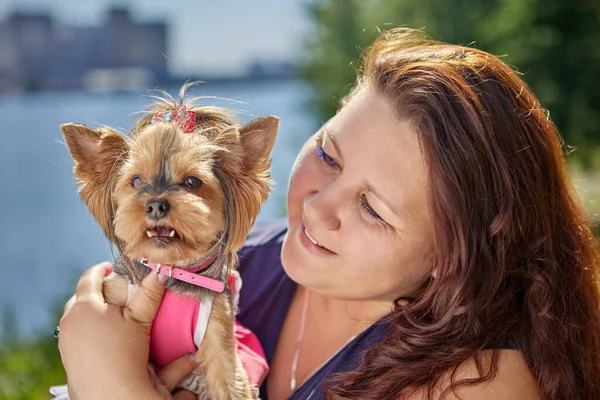 Fiatal boldog nő yorkshire terrier rózsaszín ruha és gallér sétálnak. — Stock Fotó