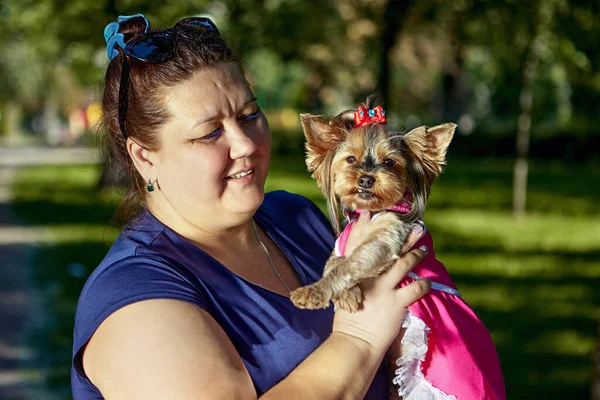 Kövér nő tartja terrier a parkban séta közben. — Stock Fotó