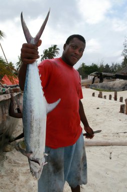 zanzibar koyu cilt balıkçı uskumru holding
