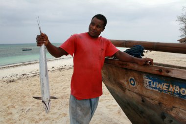 Kingfish, Zanzibar tutarak siyah balıkçı
