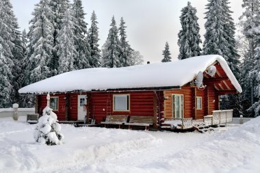 Rus kulübe günlükleri, karla kaplı orman arka plan üzerinde lekeli