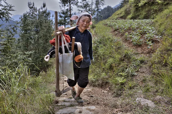 Woman farmer returns from field work with hoe and yoke. — Stock Photo, Image