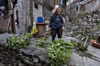 Asyalı kadın çiftçi Miao insanlar, standları avlu köylü hous