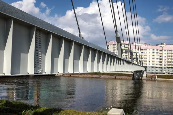 Cable-stayed steam pipe bridge — Stock Photo, Image