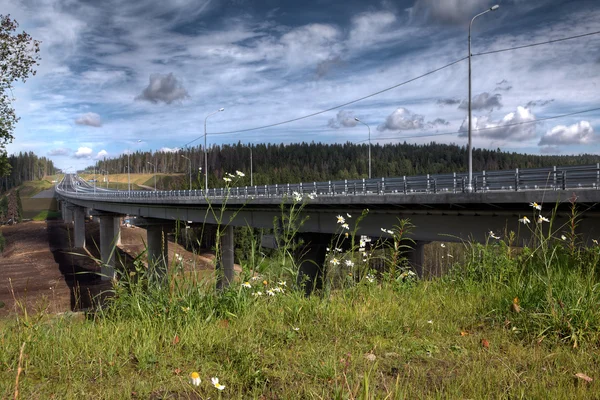 New steel bridge on concrete pillars crossing bed forest stream — Stock Photo, Image