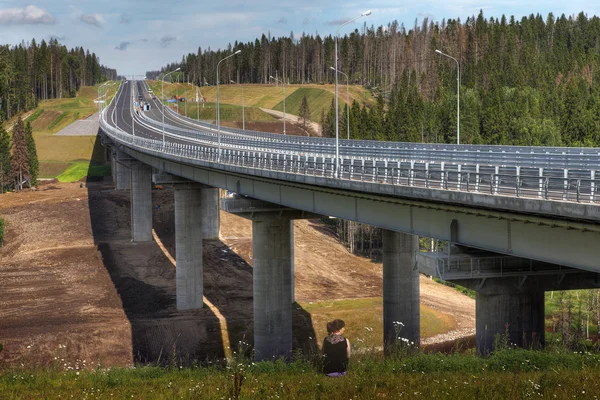Four-speed road through forest, and steel motor road bridge. — Stock Photo, Image