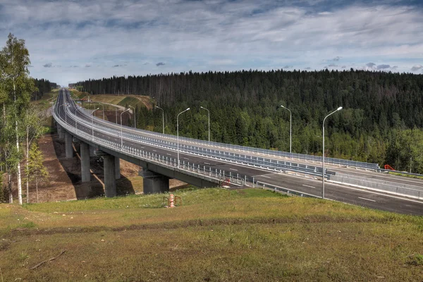 Schnellstraße überquert Wald, stählerne Überführungsbrücke trägt Betonpfeiler. — Stockfoto