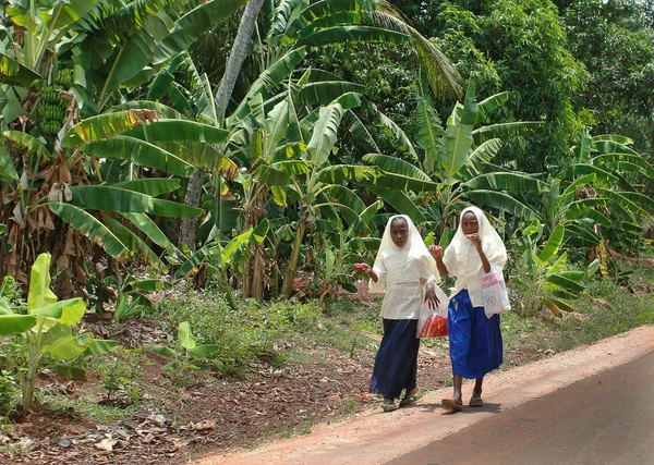 Two muslim schoolgirls in headscarves walk along road in jungle. — Stock Photo, Image