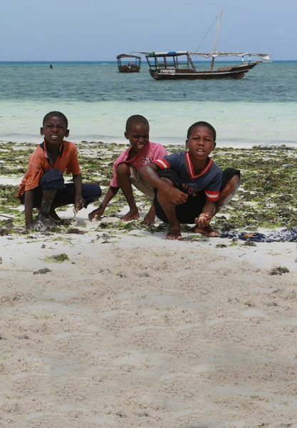 Tři chlapci afrických sklizené mořských živočichů v zóně příboje. — Stock fotografie