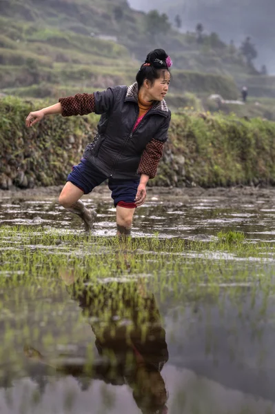 Asian farmer woman walking barefoot through mud of rice fields. — Stock Photo, Image