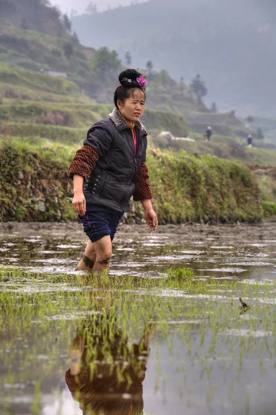 Chinese peasant girl walking barefoot through mud of rice fields — Stock Photo, Image