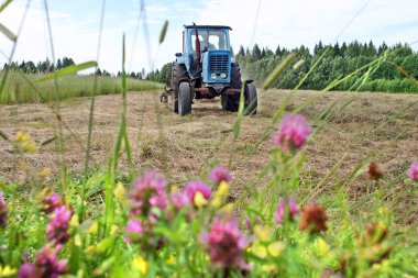 Freshly cut grass is dried on mown meadow, farm tractor. clipart