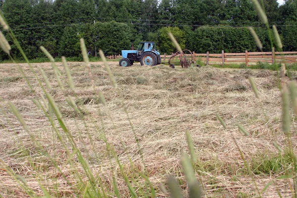 Tierras de cultivo de prados cortados, pelado, rastrillo de heno tractor hacer windrows —  Fotos de Stock