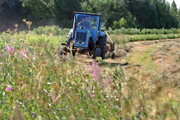 Kék kerekes orosz mezőgazdasági traktor dolgozó talajműveléssel rét, Hayfield. — Stock Fotó