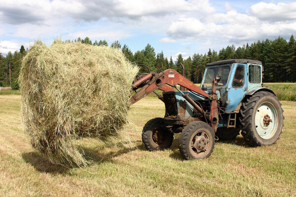 Russian Farm tractor moves round bales of hay.
