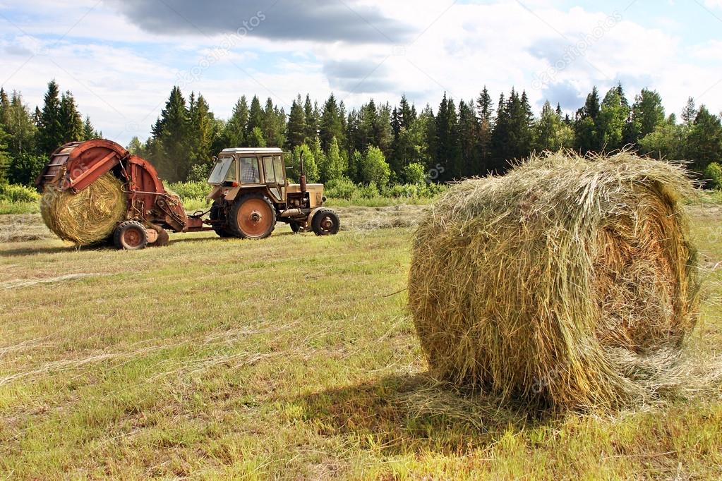 Cutting Hay, countryside landscape, round straw bales in harvest
