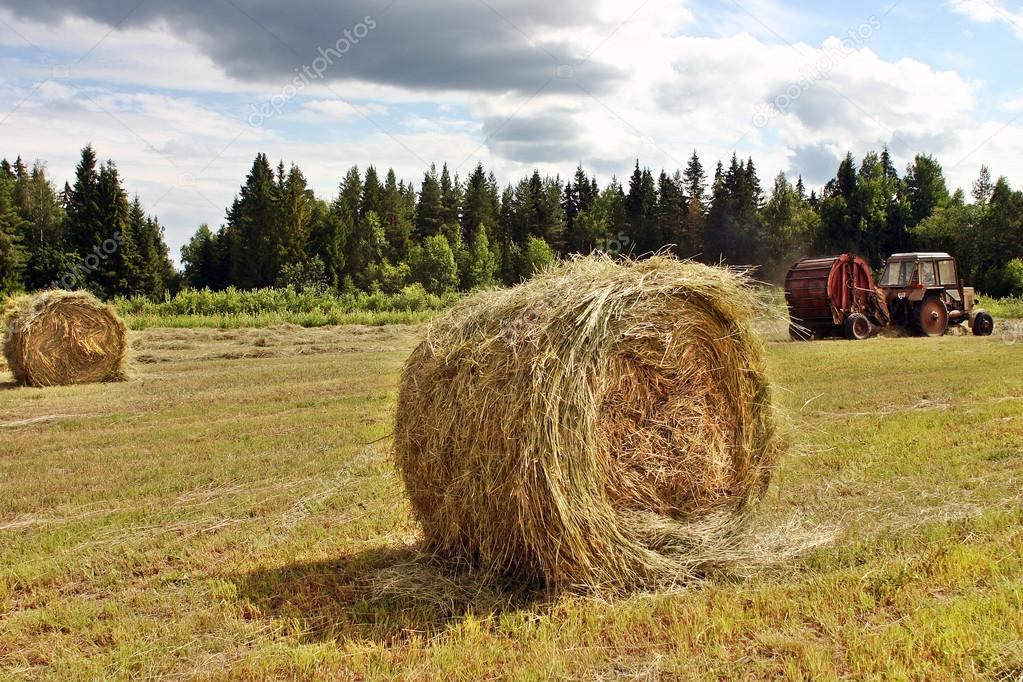 Making Big Round Bales Of Hay For Cattle Feed