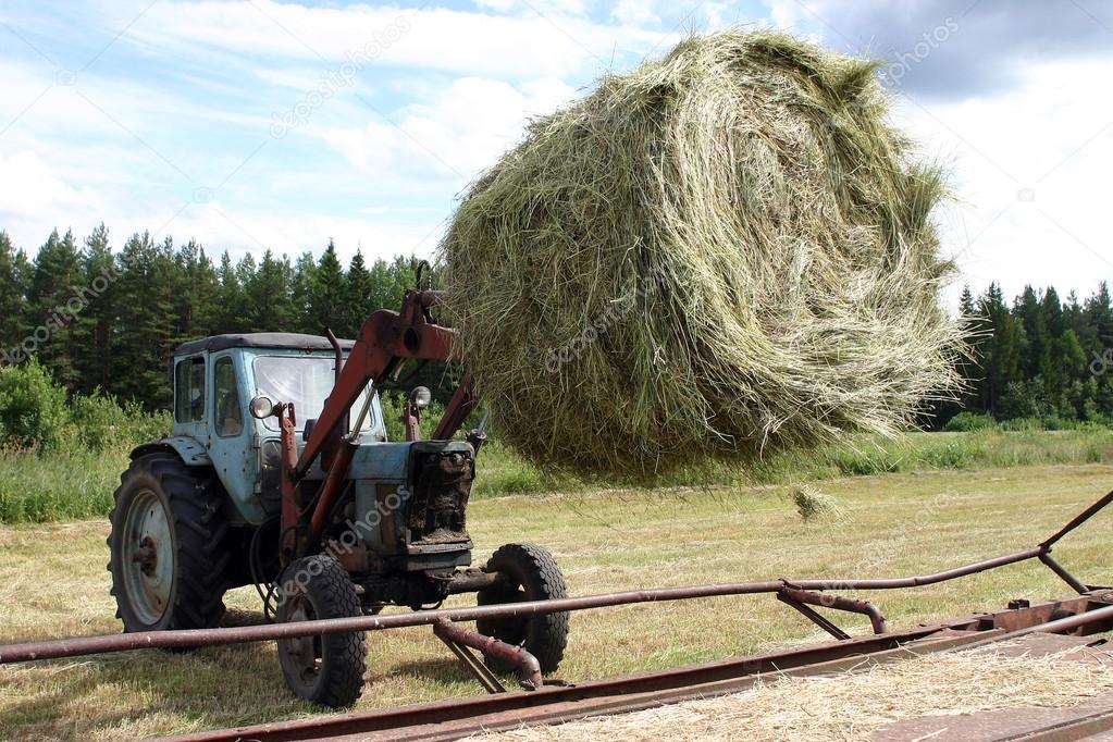 Tractor with bucket forklift moves circular bale hay in trailer.